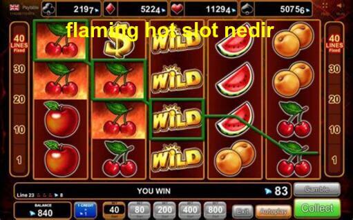 flaming hot slot nedir